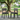 POLYTRENDS™ Tiny Terraces Essentials Kids' All-Weather Outdoor Dining Chair (Set of 2)